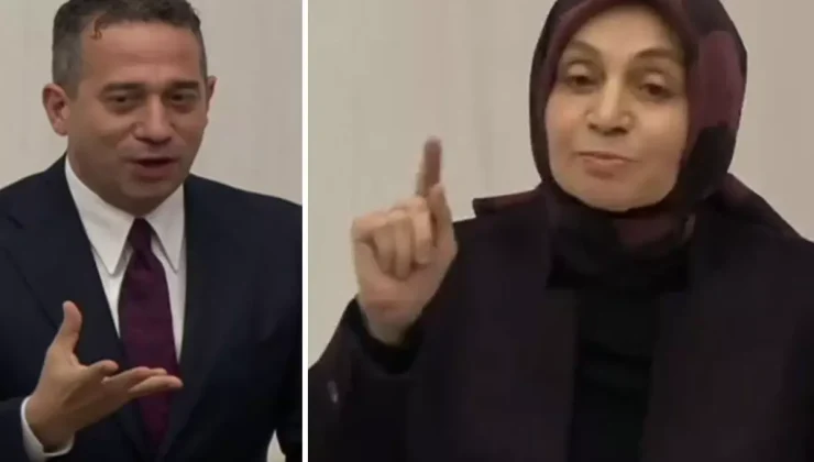 Meclis’te ‘özür dile’ tartışması AK Partili Usta geri adım atmadı, ortalık karıştı