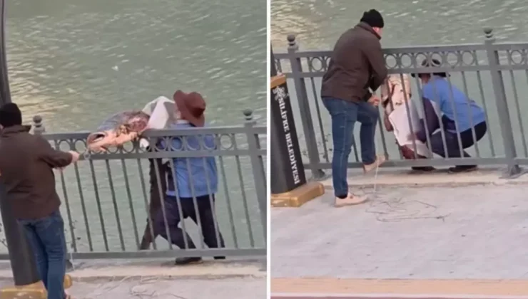 Olta ile nehirden 30 kiloluk balık tuttu