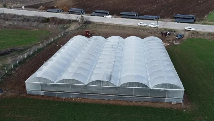 Şehirde asgari ücreti bırakıp köyde kendi işlerini kurdular: Sezonluk getirisi 400 bin TL