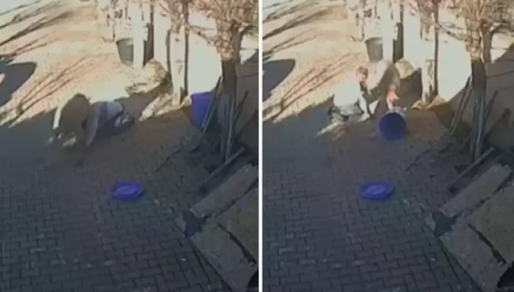 Silivri’de sahibine dakikalarca saldıran koç kamerada