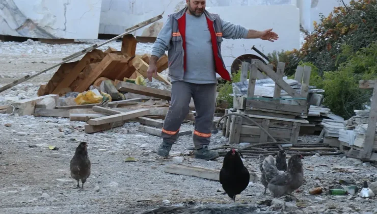 Sosyal medyada görür görmez gurbetteki akrabalarını aradı, onlarca farklı türünü getirtti