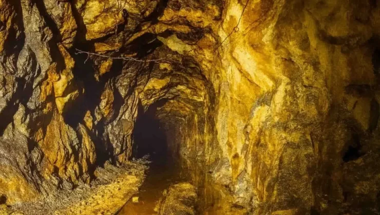 Trilyonluk keşif: Toprağın altından servet fışkırdı